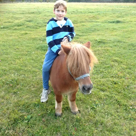 Farm stay Al Cavallino Bianco *