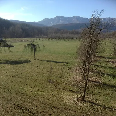 Farm stay Al Cavallino Bianco *